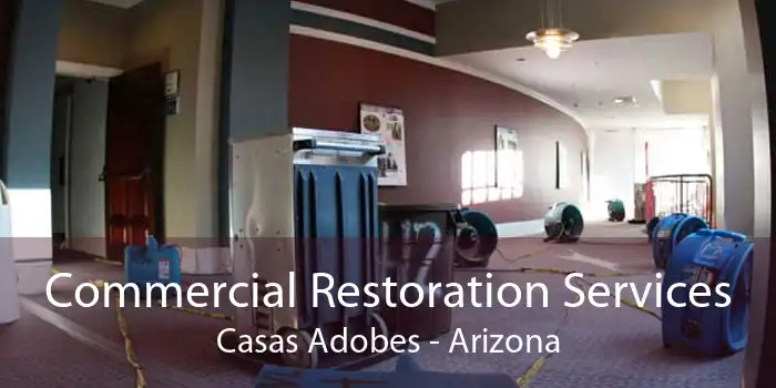 Commercial Restoration Services Casas Adobes - Arizona
