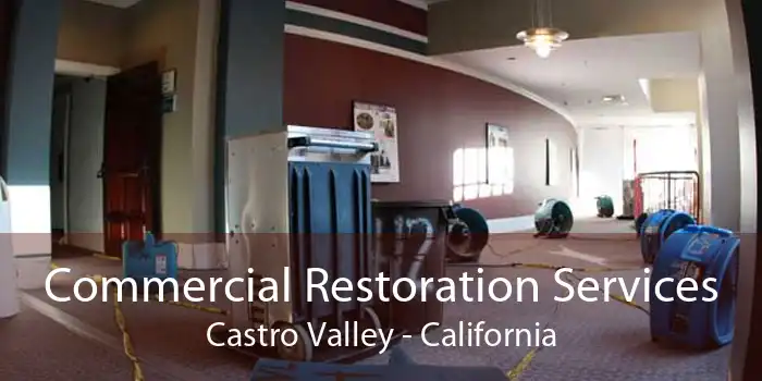 Commercial Restoration Services Castro Valley - California
