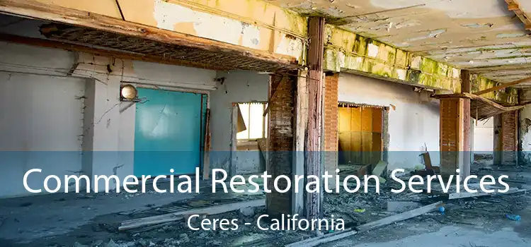 Commercial Restoration Services Ceres - California