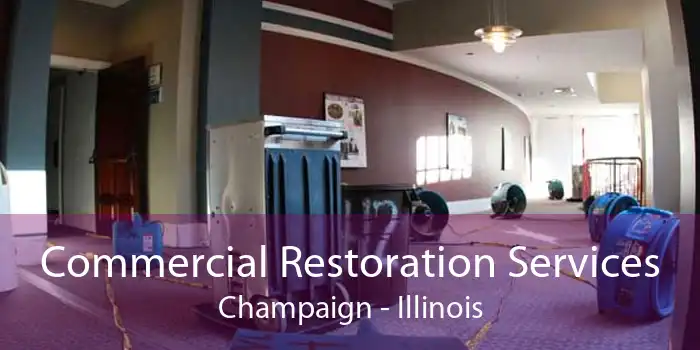 Commercial Restoration Services Champaign - Illinois