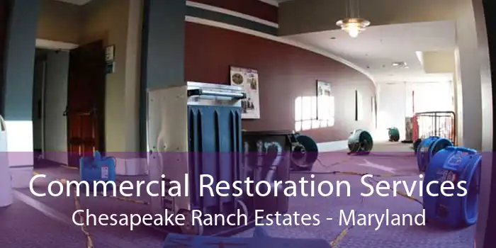 Commercial Restoration Services Chesapeake Ranch Estates - Maryland
