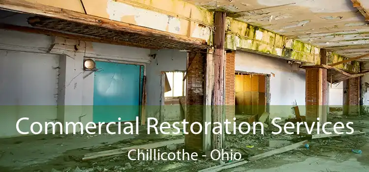 Commercial Restoration Services Chillicothe - Ohio