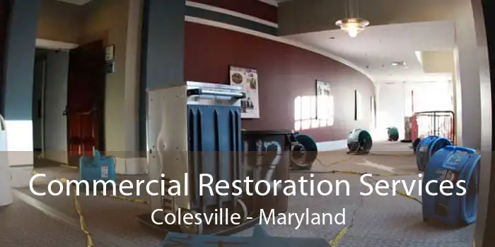 Commercial Restoration Services Colesville - Maryland