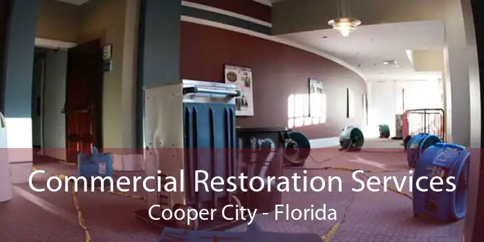 Commercial Restoration Services Cooper City - Florida