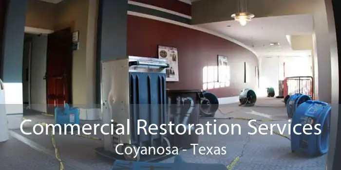 Commercial Restoration Services Coyanosa - Texas