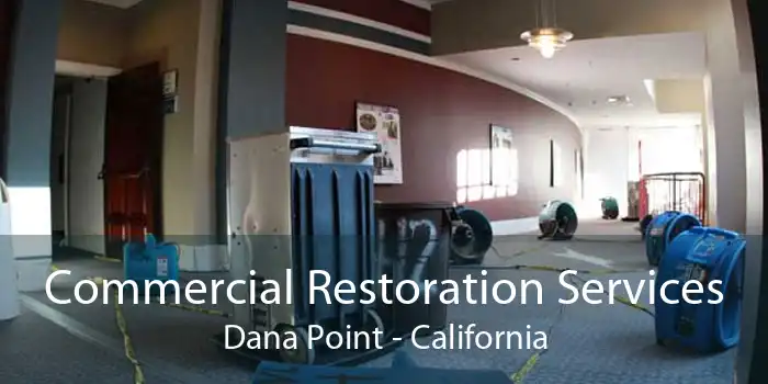 Commercial Restoration Services Dana Point - California