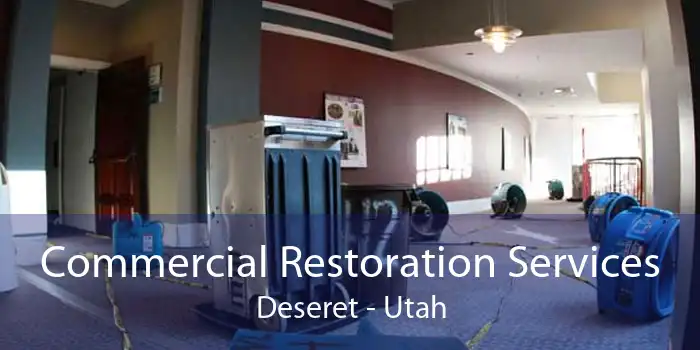 Commercial Restoration Services Deseret - Utah