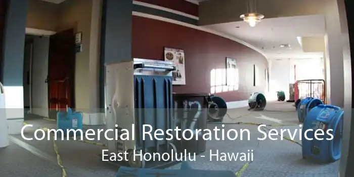 Commercial Restoration Services East Honolulu - Hawaii