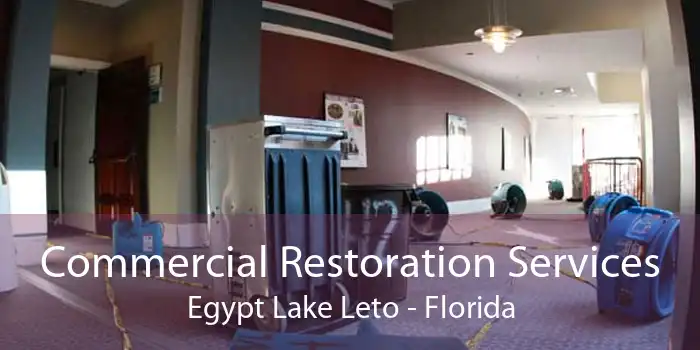 Commercial Restoration Services Egypt Lake Leto - Florida