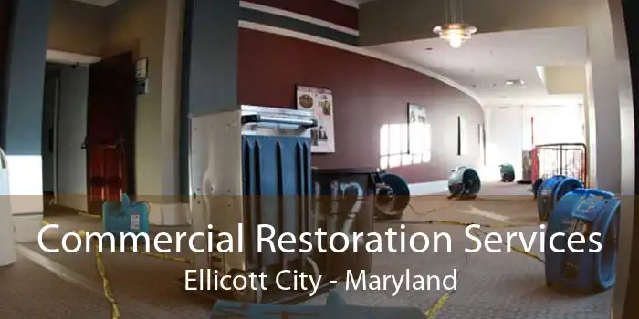 Commercial Restoration Services Ellicott City - Maryland