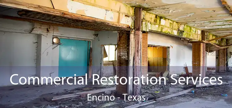 Commercial Restoration Services Encino - Texas