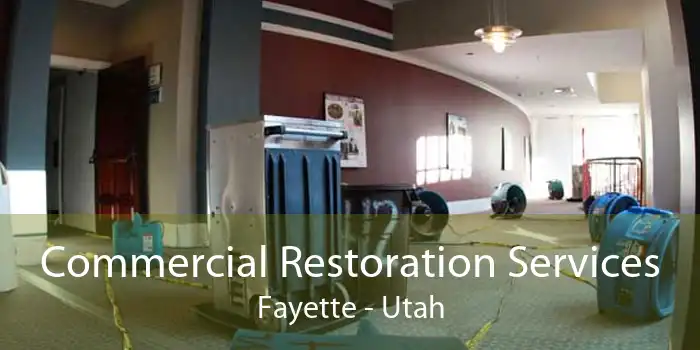 Commercial Restoration Services Fayette - Utah