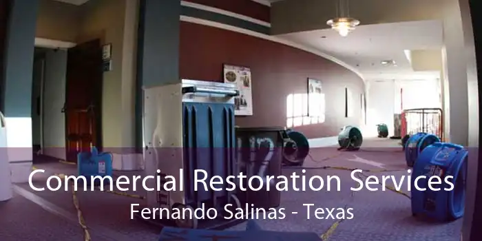 Commercial Restoration Services Fernando Salinas - Texas