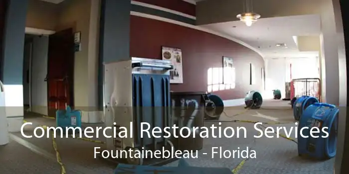 Commercial Restoration Services Fountainebleau - Florida