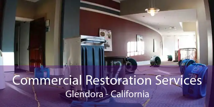 Commercial Restoration Services Glendora - California