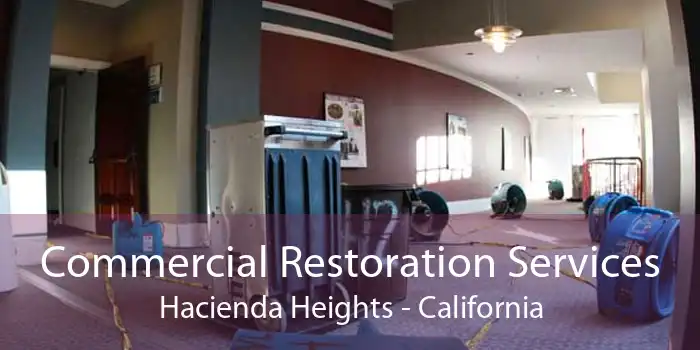 Commercial Restoration Services Hacienda Heights - California