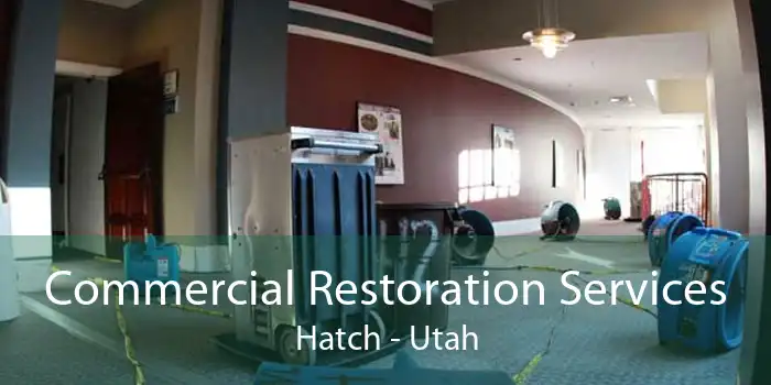 Commercial Restoration Services Hatch - Utah