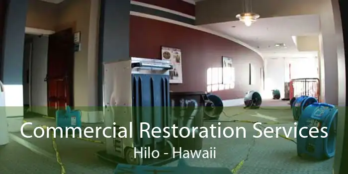 Commercial Restoration Services Hilo - Hawaii