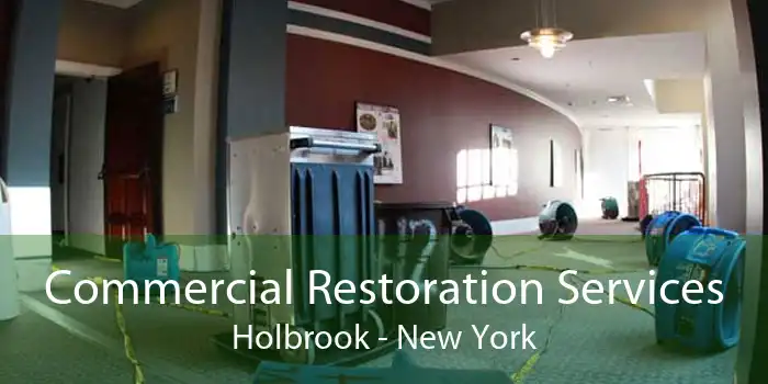 Commercial Restoration Services Holbrook - New York
