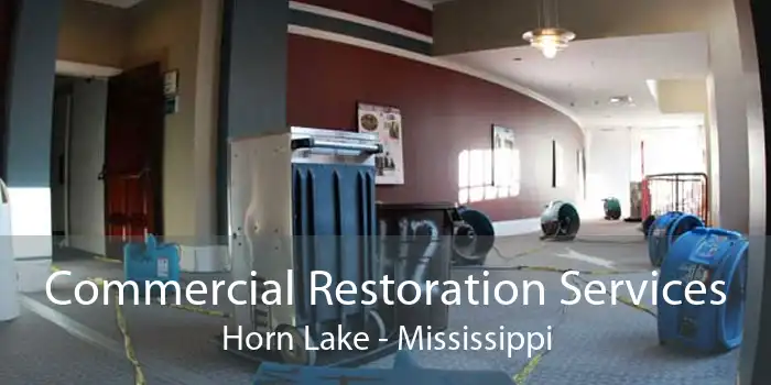 Commercial Restoration Services Horn Lake - Mississippi