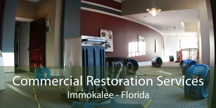Commercial Restoration Services Immokalee - Florida