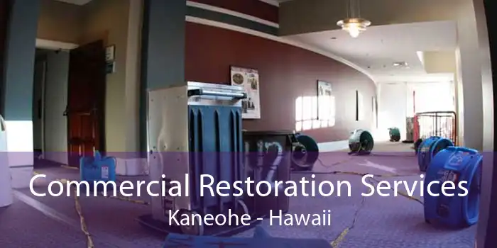 Commercial Restoration Services Kaneohe - Hawaii