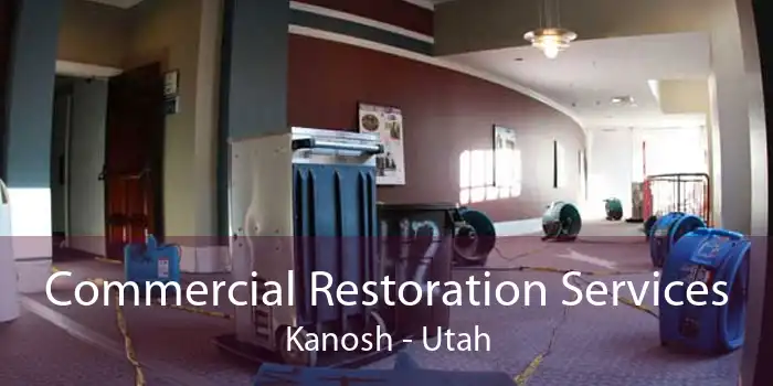 Commercial Restoration Services Kanosh - Utah