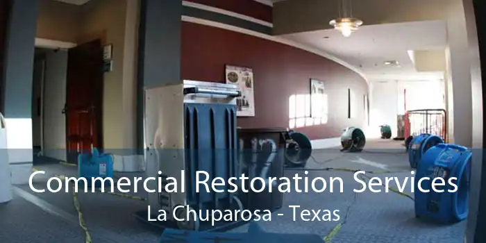 Commercial Restoration Services La Chuparosa - Texas