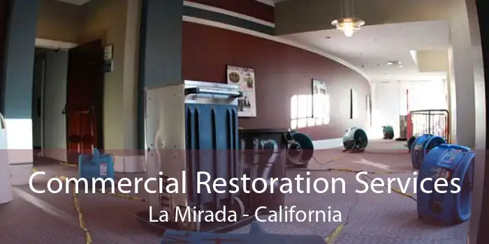 Commercial Restoration Services La Mirada - California
