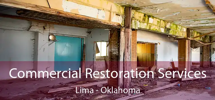 Commercial Restoration Services Lima - Oklahoma