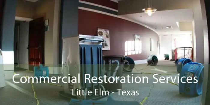Commercial Restoration Services Little Elm - Texas