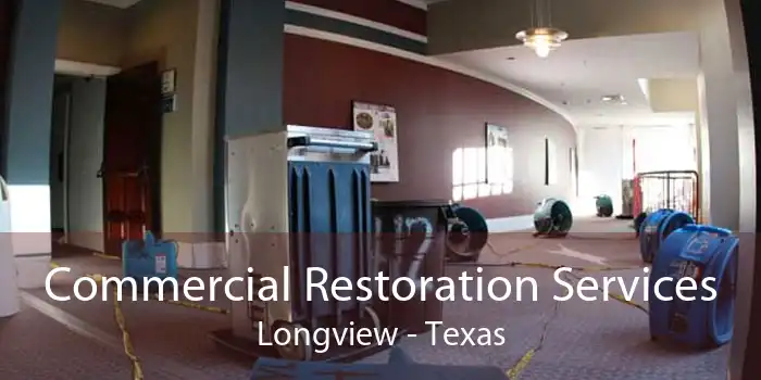 Commercial Restoration Services Longview - Texas
