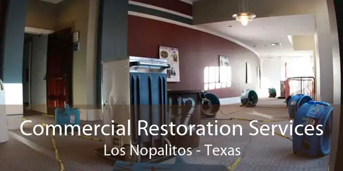 Commercial Restoration Services Los Nopalitos - Texas