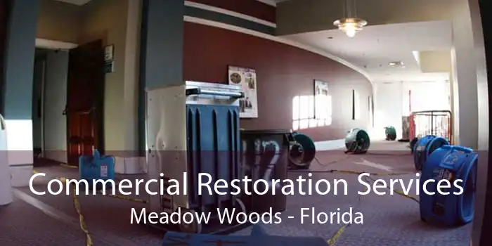 Commercial Restoration Services Meadow Woods - Florida