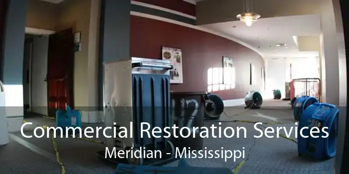 Commercial Restoration Services Meridian - Mississippi