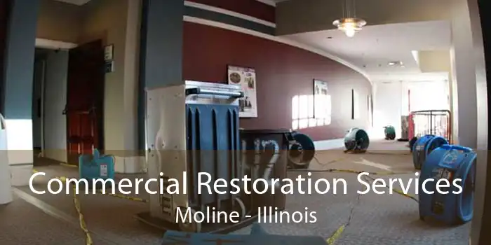 Commercial Restoration Services Moline - Illinois