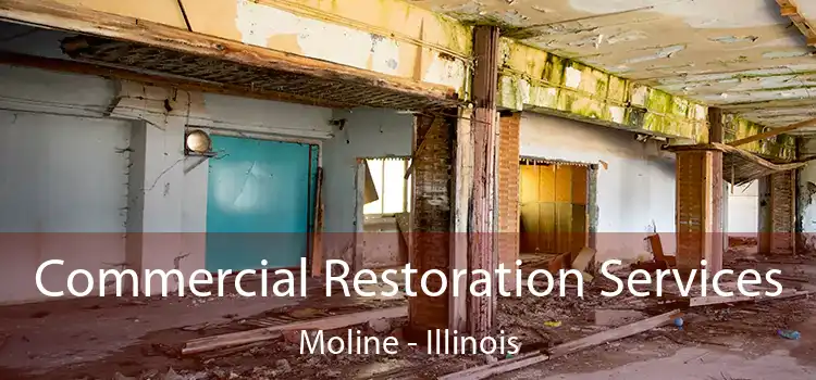 Commercial Restoration Services Moline - Illinois