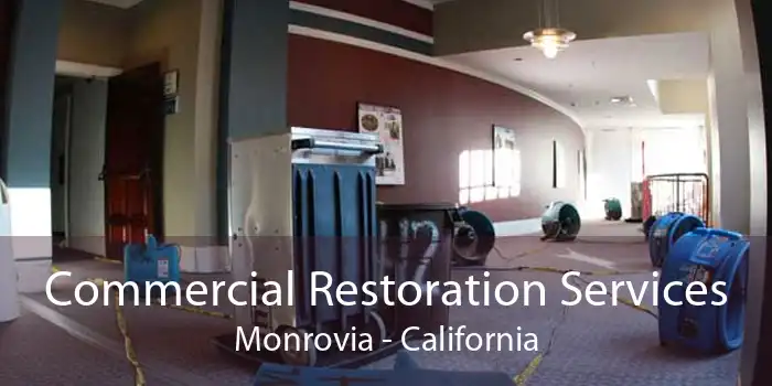 Commercial Restoration Services Monrovia - California