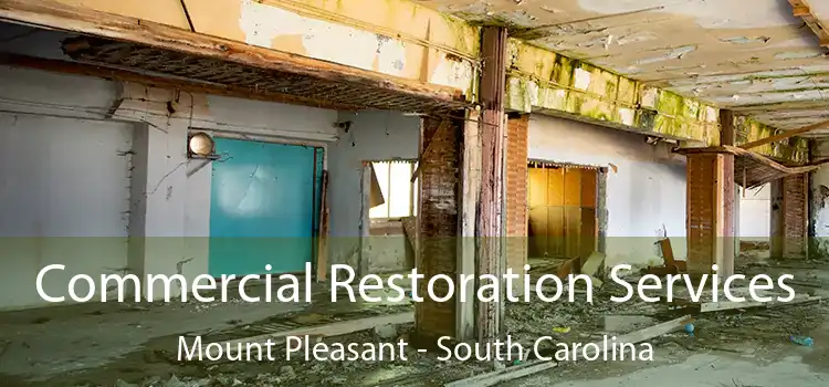 Commercial Restoration Services Mount Pleasant - South Carolina