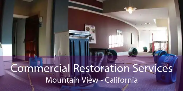 Commercial Restoration Services Mountain View - California