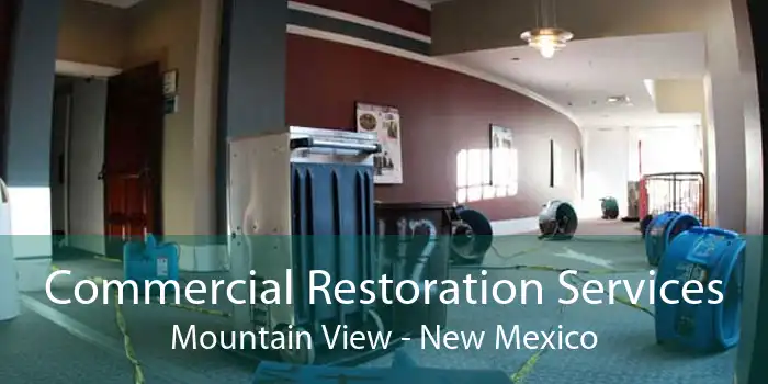 Commercial Restoration Services Mountain View - New Mexico