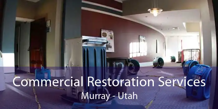 Commercial Restoration Services Murray - Utah