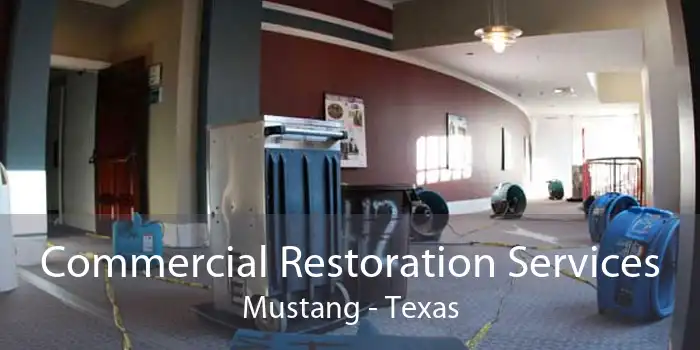 Commercial Restoration Services Mustang - Texas