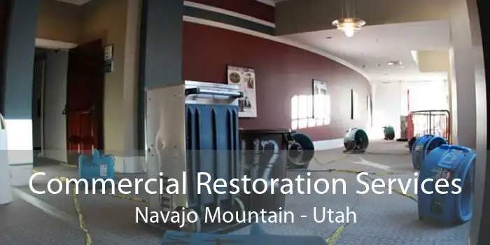 Commercial Restoration Services Navajo Mountain - Utah