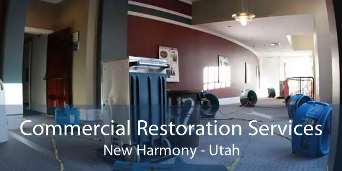 Commercial Restoration Services New Harmony - Utah