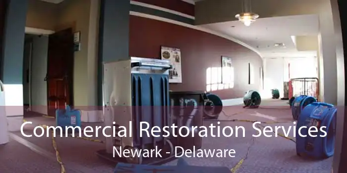 Commercial Restoration Services Newark - Delaware