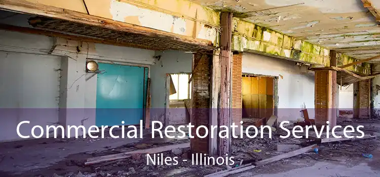 Commercial Restoration Services Niles - Illinois