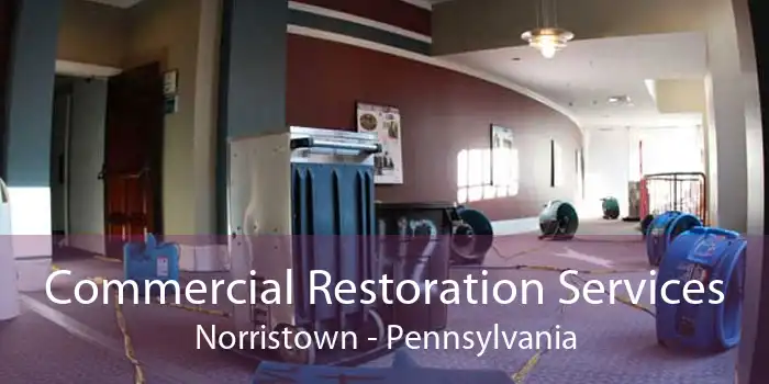 Commercial Restoration Services Norristown - Pennsylvania