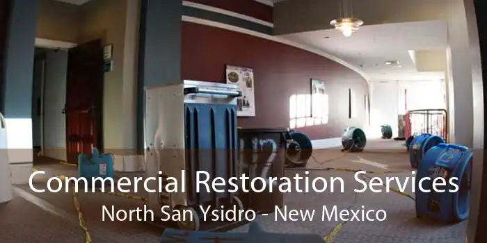 Commercial Restoration Services North San Ysidro - New Mexico