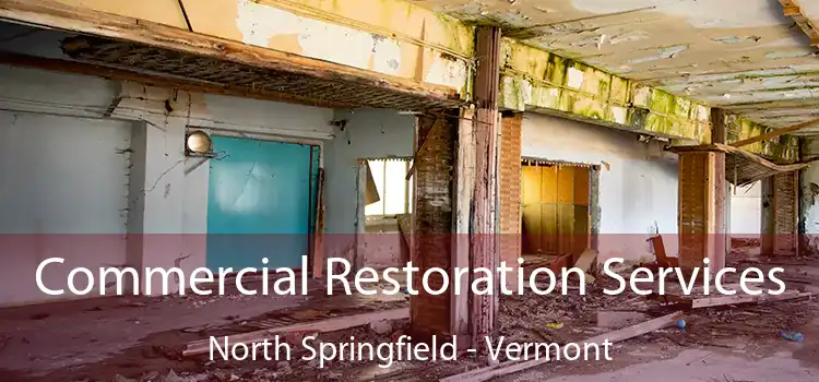 Commercial Restoration Services North Springfield - Vermont